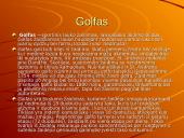 Svarbiausios sporto šakos Lietuvoje 15 puslapis