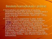 Svarbiausios sporto šakos Lietuvoje 19 puslapis