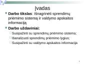 Sprendimų priėmimo sistema ir valdymo apskaitos informacija 2 puslapis
