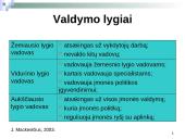 Sprendimų priėmimo sistema ir valdymo apskaitos informacija 14 puslapis
