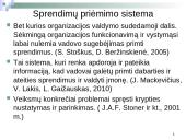 Sprendimų priėmimo sistema ir valdymo apskaitos informacija 3 puslapis