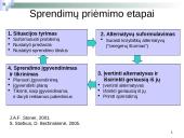 Sprendimų priėmimo sistema ir valdymo apskaitos informacija 4 puslapis