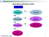 Sprendimų priėmimo sistema ir valdymo apskaitos informacija 6 puslapis