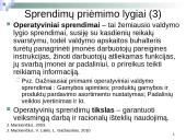 Sprendimų priėmimo sistema ir valdymo apskaitos informacija 10 puslapis