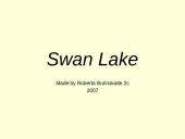 Swan Lake