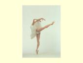 Swan Lake 2 puslapis