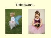 Swan Lake 8 puslapis