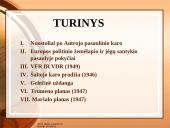 Šaltasis karas (1946-1991). Tarptautiniai santykiai XX amžiaus antroje pusėje 2 puslapis