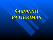 Šampano pagrindinės rūšys ir kaip jį patiekti 19 puslapis