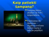 Šampano pagrindinės rūšys ir kaip jį patiekti 20 puslapis