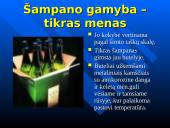 Šampano pagrindinės rūšys ir kaip jį patiekti 4 puslapis