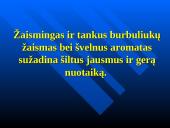 Šampano pagrindinės rūšys ir kaip jį patiekti 5 puslapis