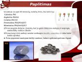 Švino pažinimas 3 puslapis