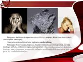 Švino pažinimas 5 puslapis