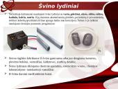 Švino pažinimas 8 puslapis