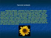 Vaistiniai augalai ir jų nauda 6 puslapis