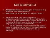 Vynų kultūra 19 puslapis