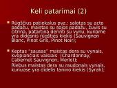 Vynų kultūra 20 puslapis
