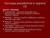 Vynų kultūra 6 puslapis