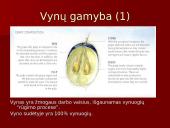 Vynų kultūra 7 puslapis