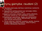 Vynų kultūra 8 puslapis