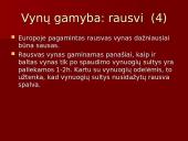 Vynų kultūra 10 puslapis