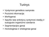 Vystymosi genetika 2 puslapis