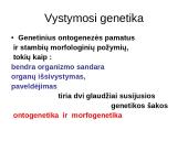 Vystymosi genetika 3 puslapis