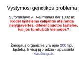 Vystymosi genetika 4 puslapis