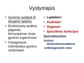 Vystymosi genetika 6 puslapis