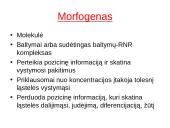 Vystymosi genetika 10 puslapis