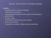 Žieduotosios kirmelės 11 puslapis