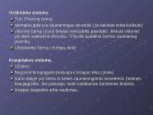 Žieduotosios kirmelės 12 puslapis