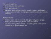 Žieduotosios kirmelės 13 puslapis