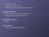 Žieduotosios kirmelės 17 puslapis