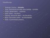 Žieduotosios kirmelės 19 puslapis