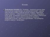 Žieduotosios kirmelės 20 puslapis