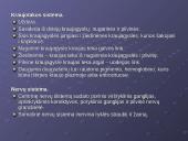 Žieduotosios kirmelės 6 puslapis