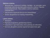 Žieduotosios kirmelės 7 puslapis