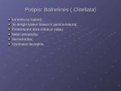 Žieduotosios kirmelės 10 puslapis