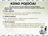 Žmogaus psichofiziologinės galimybės 5 puslapis