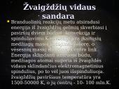 Žvaigždynas 4 puslapis