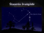 Žvaigždynas 8 puslapis