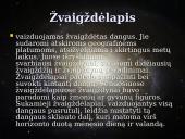 Žvaigždynas 9 puslapis