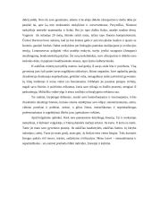 Tik kuriantis žmogus gyvena prasmingai (samprotavimas) 2 puslapis