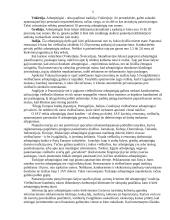 Arbatpinigiai – tradicija ar būtinybė 5 puslapis