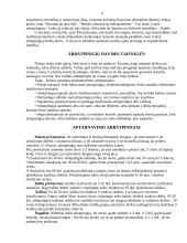 Arbatpinigiai – tradicija ar būtinybė 6 puslapis