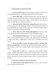 Dovanos bei suvenyrai 5 puslapis