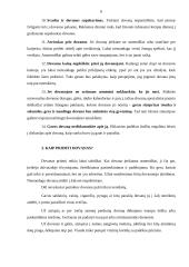 Dovanos bei suvenyrai 6 puslapis