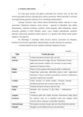 Dovanos bei suvenyrai 7 puslapis